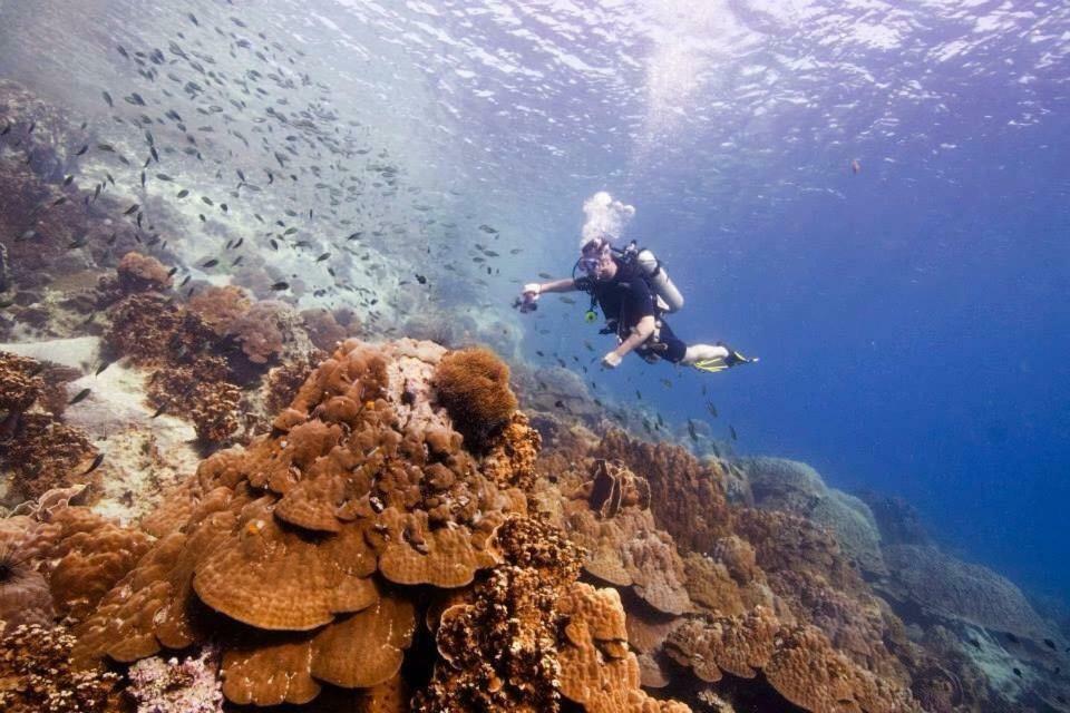 فندق Ban Khlong Kloiفي  Sea Paradise المظهر الخارجي الصورة
